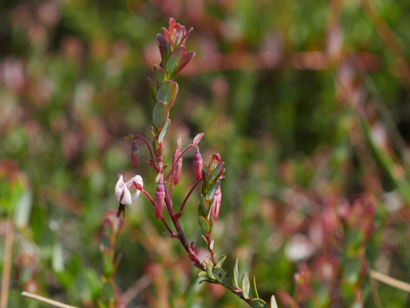 P6080054